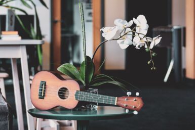 brown acoustic guitar beside white moth orchids